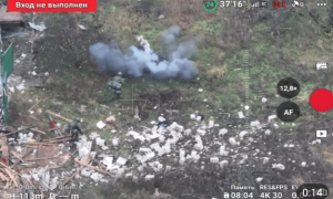 俄媒：视频显示，一头猪突然冲出引爆地雷救下两名俄军士兵